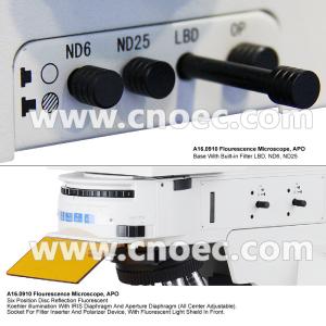Trinocular Infinity Optical Fluorescence Microscope With Halogen Lamp