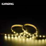 Escalator SMD 2835 LED Strip Belt Outdoor Indoor Lighting 12V 24V
