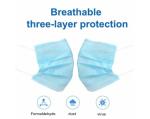 Health Protective 3 Ply Earloop Face Mask