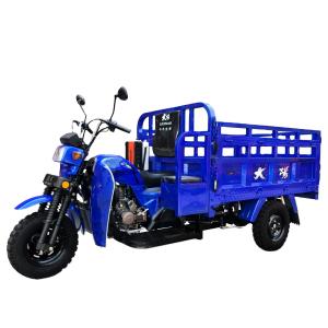 China DAYANG 12V Gasoline Passenger Tricycle Scooter for Heavy Loading Cargo Transportation factory
