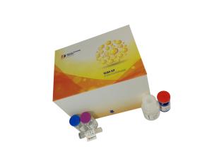 China Strong Specificity Mouse Vegf Elisa Kit 96 Wells / 48 Wells 2 - 8°c For Storage factory