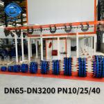 Stainless Steel Flange Single Pn16 Pn25 Dismantling Joint Pipe Telescopic