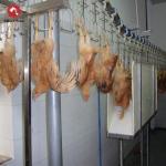 Halal Small Poultry Slaughterhouse Manufacturer Chicken Slaughter Equipment