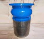 Customized Service WCB Cast Iron Flanged End Foot Valve for Durable and Fluid