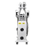 EMS Fat Freeze Cryolipolysis Slimming Machine 800W OEM
