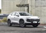 4 Wheels Comfortable Automobile Chery Jetour Dasheng Luxury Adult Car