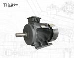 GB30254 High Voltage Flameproof Electric Motor Pump IP65 165kW