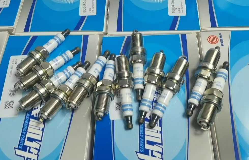 Diesel Oil Filter 1000428205 4209440 5241800110 for Test 100% test and Filter paper