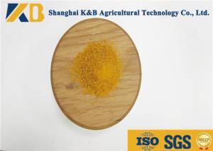 China Dairy Beef Cattle Feed Protein Powder / Corn Meal Feed With GMP Certificate factory