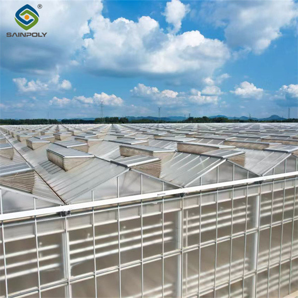 China Multi Span Venlo Greenhouse Agricultural Polycarbonate Green House factory