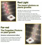 480W V2 Greenhouse Horticultural Grow Lights 660nm Oslon LM301H LED Grow Light