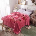 2-3KG Warm Soft Comfortable Korean Double Player Raschel Blanket with Warmth