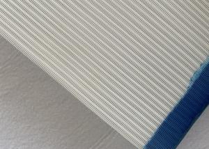 China High Temperature Resistant Polyester Mesh Belt For Paper Plant factory