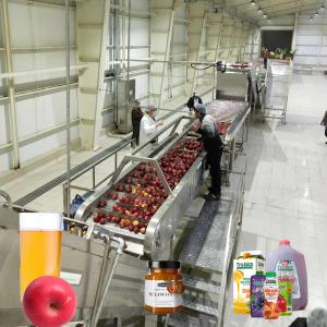 China SUS 304 Apple Juice Pulp Processing Production Line Apple Puree Processing Equipment factory