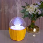 Whisper - Quiet Real Wood Base Glass Ultrasonic Diffuser