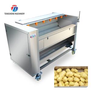China Multi Functional Fruit Washing Machine Medium Sized Lotus Root Washing Radish Machine factory