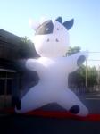 Factory Price Custom Inflatable cartoon Advertising Inflatables for Event