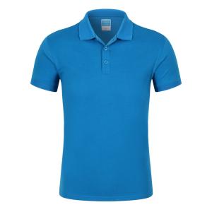 China Custom Embroidered Logo Polyester Business Mens Blank Sports Polo T Shirt With Custom Printing Hot Selling Style factory