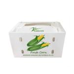 1.5mm-30mm PP Corrugated Plastic Packaging Boxes White Green Blue