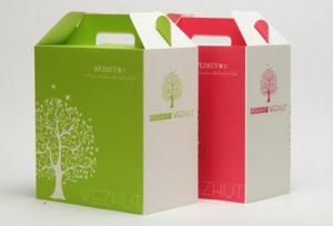 China Food delivery box flexo pritning environment protection competitive price factory
