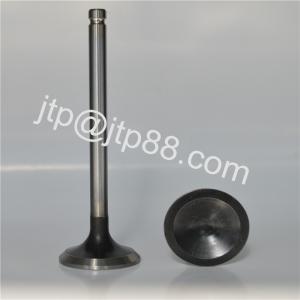 China Intake &amp; exhaust Valve For Nissan PE6 Engine IN 13201-96002/EX 13202-96002 factory