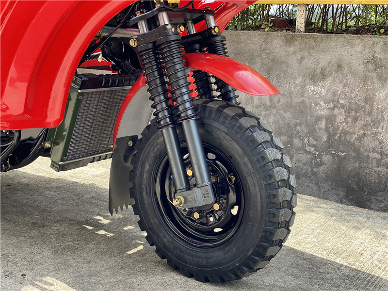 Petrol Fuel Type 250cc Cargo Tricycle with Heavy Load Capacity and 3 Wheels