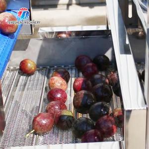 Revolutionize Your Production Process with Our Fruit And Vegetable Processing