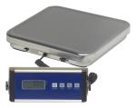 Platform Scale 150kg 300kg Industrial Weighing Scale 50 Kg