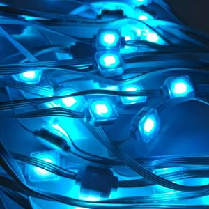 China Christmas Permanent Eaves Light RGB 25mm LED Point Light Source Outdoor Decoration Waterproof Pixel Light factory
