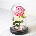 Beautiful Preserved Rose in Glass Dome flower arrangement for lover Everlasting