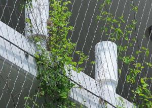 China AISI316 X Tend Wire Rope Plant Trellis , Stainless Steel Wire For Climbing Plants factory