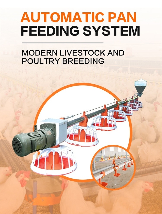 Automatic Poultry Equipment Broiler Feeding System Chicken Farm Equipment 0