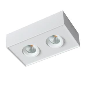 China Square Double Head Downlight 3000K Surface Mounted Dimmable LED Downlights factory