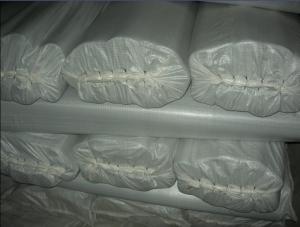 China fiber glass screen netting manufacturer,fiberglass netting,Fiber glass wire netting factory