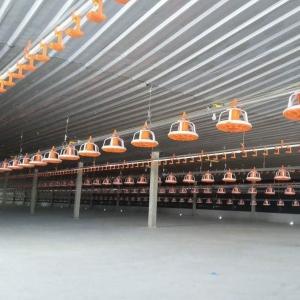 China Poultry Pan Feeding System Automatic Poultry Feeder System With Stern Shaft factory