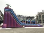 Purple Adult Kids Inflatable Water Slides With Pool ,