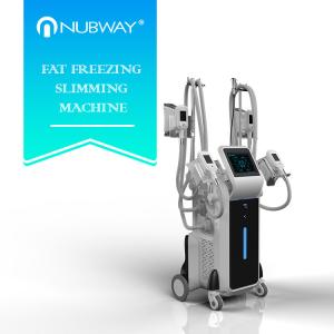 China CE approval best seller 3 years warranty effective result 4 heads weight loss machine factory
