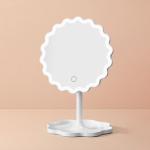 Makeup Artists' Choice Plastic Frame Led Lighted Makeup Mirror With Vanity Tray