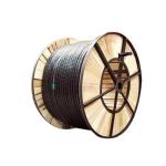 Customized Length Heating 0.6/1kv XLPE Insulated PVC Sheathed Cu Conductor 4X25