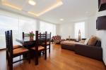 Electric motor roller blinds manual roller blinds FR blackout roller blinds
