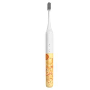 China Oral Care Sonic Rechargeable Electric Toothbrush - IPX7 Waterproof For Adults And Teens factory