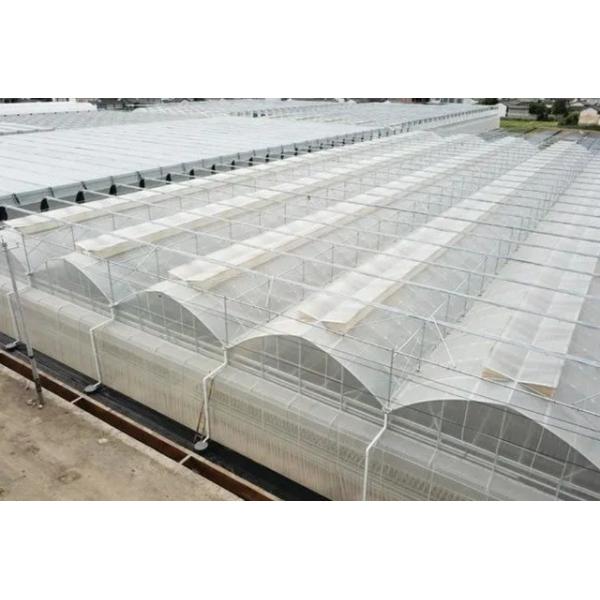 China Origin Double-Arch Hydroponic Greenhouse JX-FG-001 with and 1 Square Meter Min.Order factory