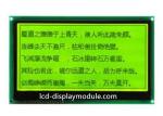 3.3V 240 x 120 Graphic Small LCD Module , Yellow Green STN Transflective LCD