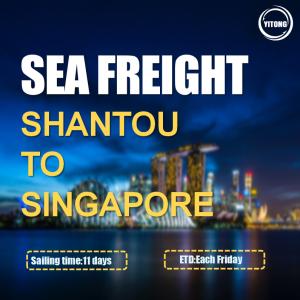 China Shantou To Singapore International Sea Transportation service Direct Sailing factory