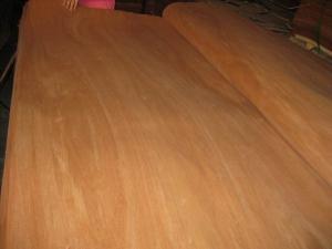 China Rotary Cut/Peeled Red Canarium Wood Veneer Sheet factory