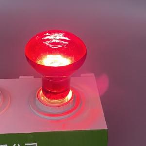 China Night Infrared Reptile Heat Lamp E26 E27 100 Watt Basking Bulb factory
