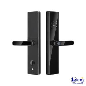 China Key Password Card Fingerprint Smart Lock Aluminum Alloy and Tempered Glass factory