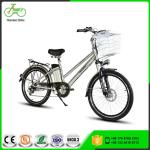 24 Inch Unisex Electric City Bicycles NO Foldable 250W 48V 10AH Lithium Battery