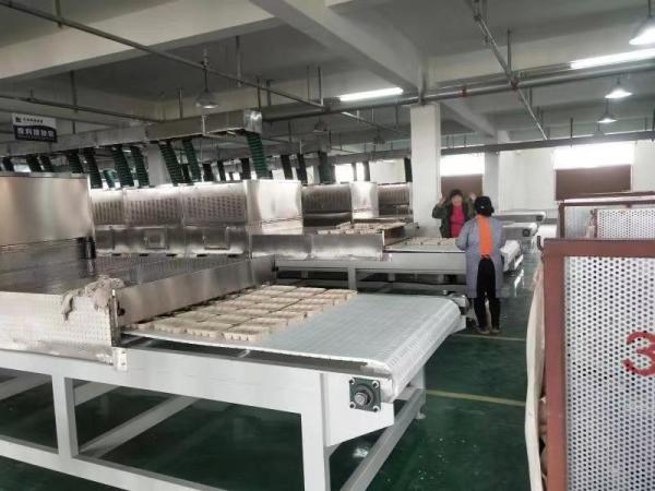 Customized Stainless Steel Microwave Vacuum Drying Equipment for Optimal