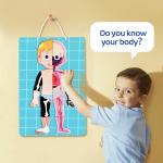Kids Early Educational Learning Toys Human Organs Model 48Pcs For Boys Girls 3 4